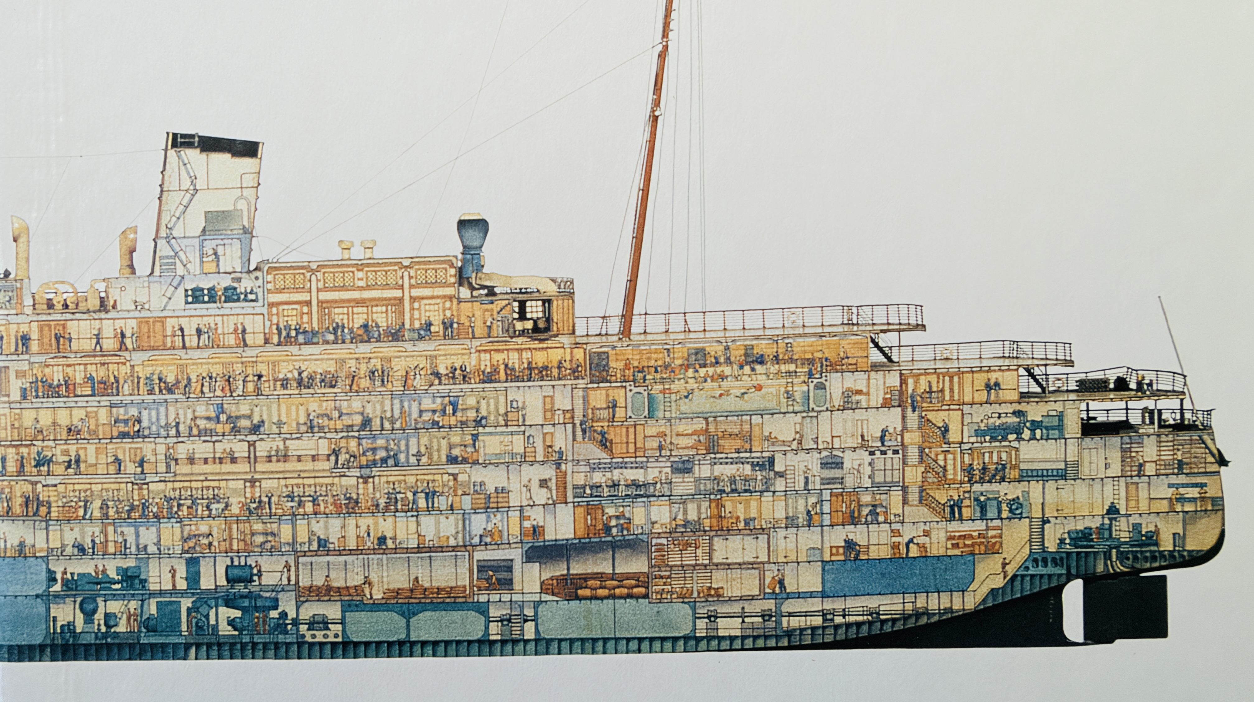 Second cut-away or profile illustration of SS Queen of Bermuda